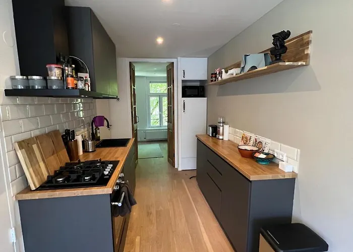 Museum District, Beautiful Renovated House Appartement