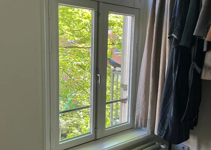 Museum District, Beautiful Renovated House