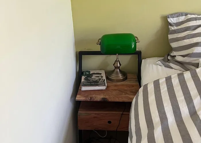 Museum District, Beautiful Renovated House *