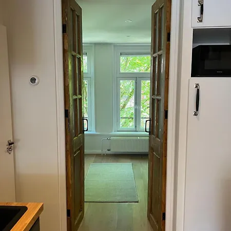 Museum District, Beautiful Renovated House Appartement