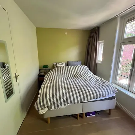 Museum District, Beautiful Renovated House Appartement *